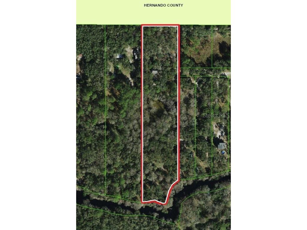 39716 Tworut Road Webster FL 33597 - WITHALACOOCHEE RIVER TB8325149 image36