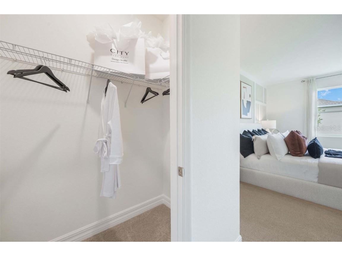 3972 Kennebunk Loop Mount Dora FL 32757 O6278492 image25