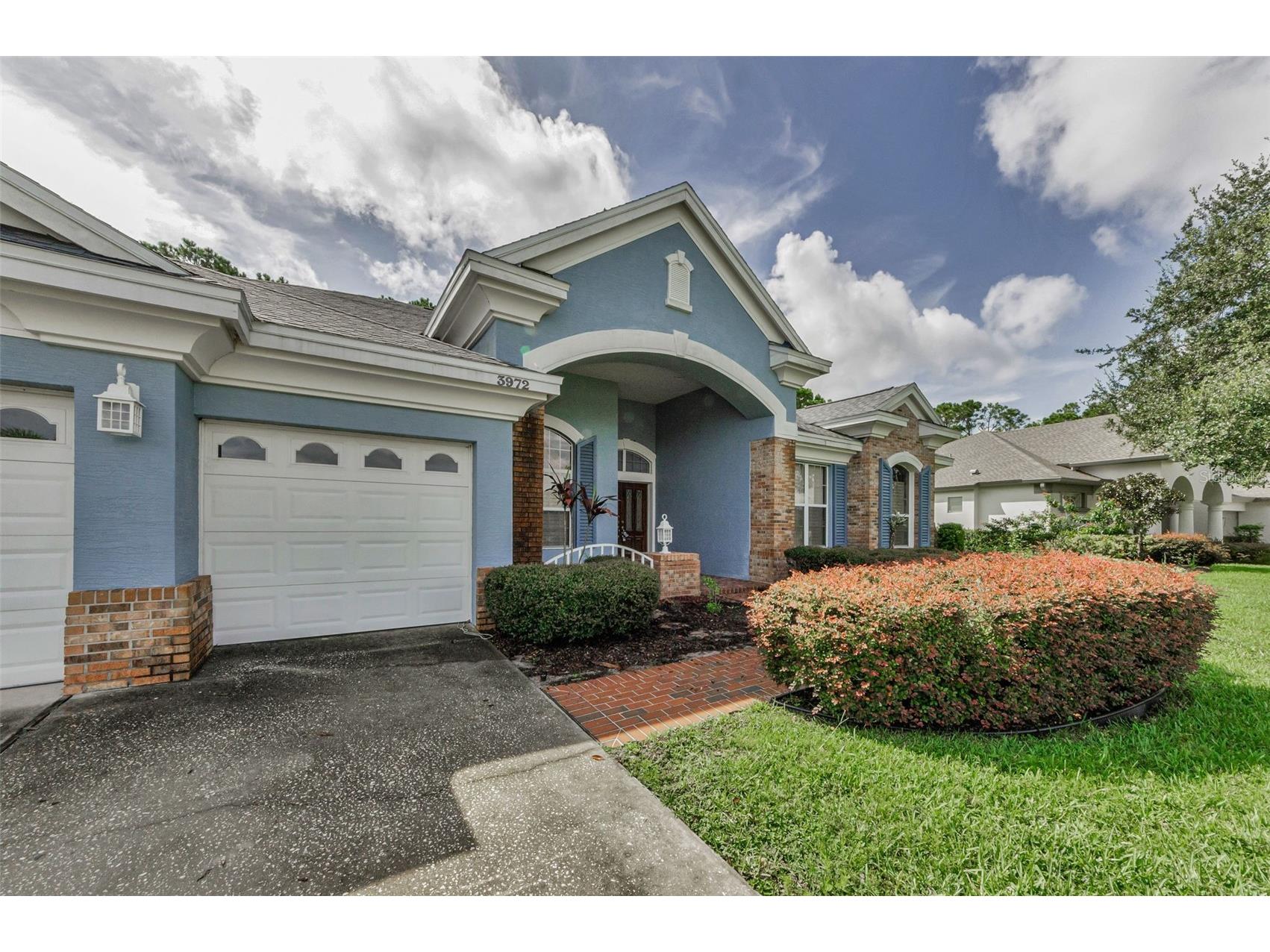 3972 Mimosa Place Palm Harbor FL 34685 TB8478543 image11