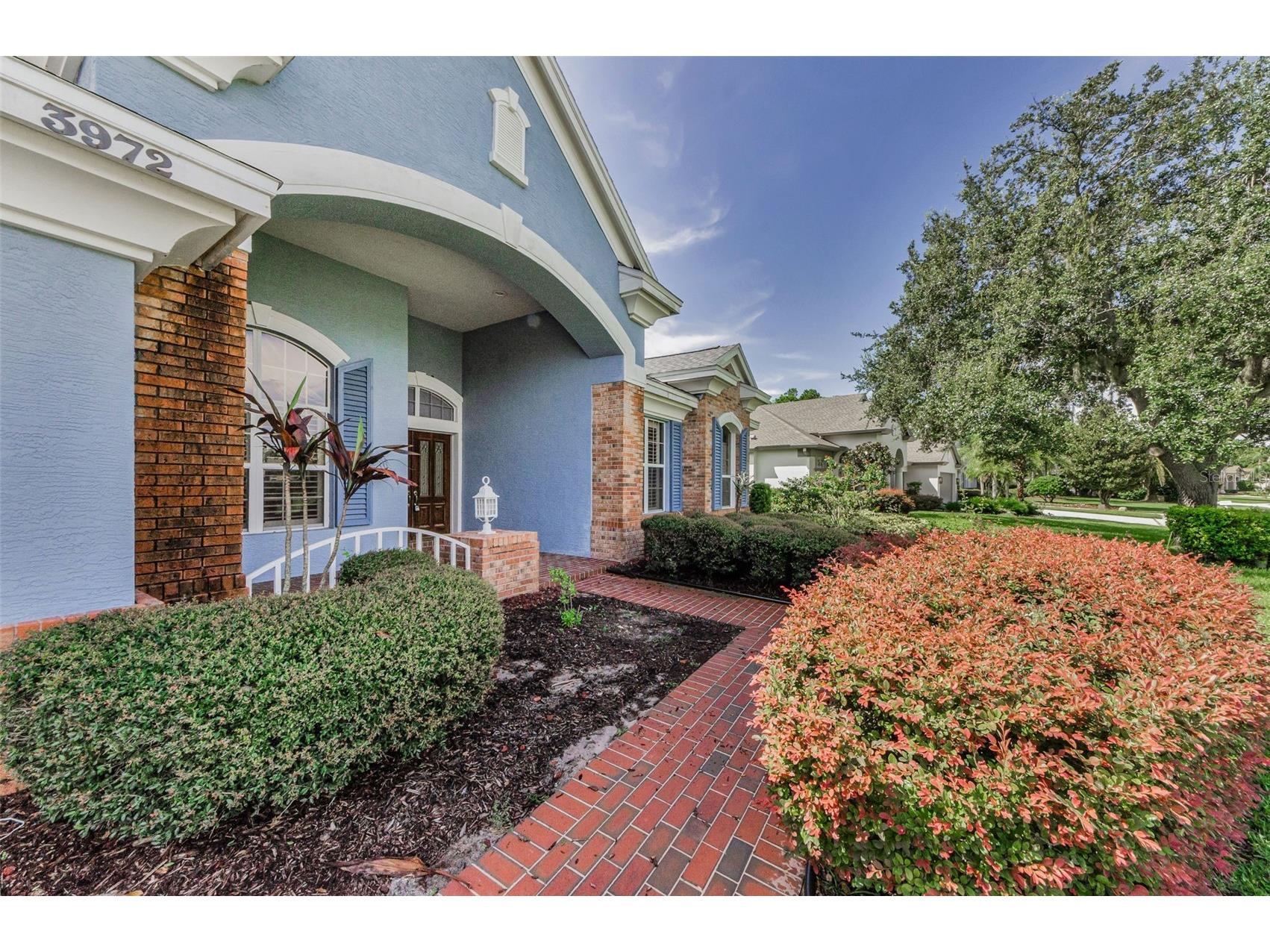 3972 Mimosa Place Palm Harbor FL 34685 TB8478543 image12