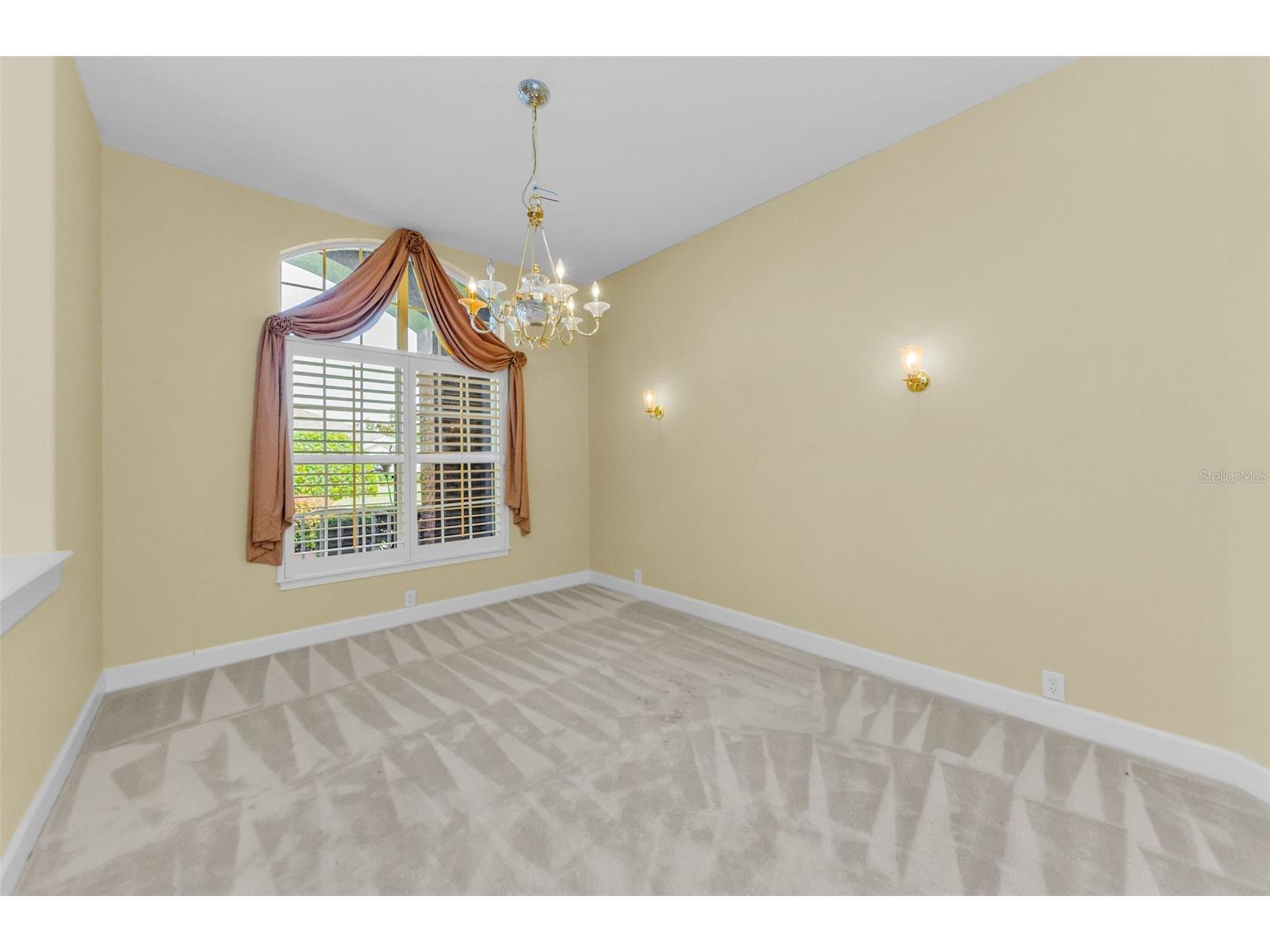 3972 Mimosa Place Palm Harbor FL 34685 TB8478543 image18