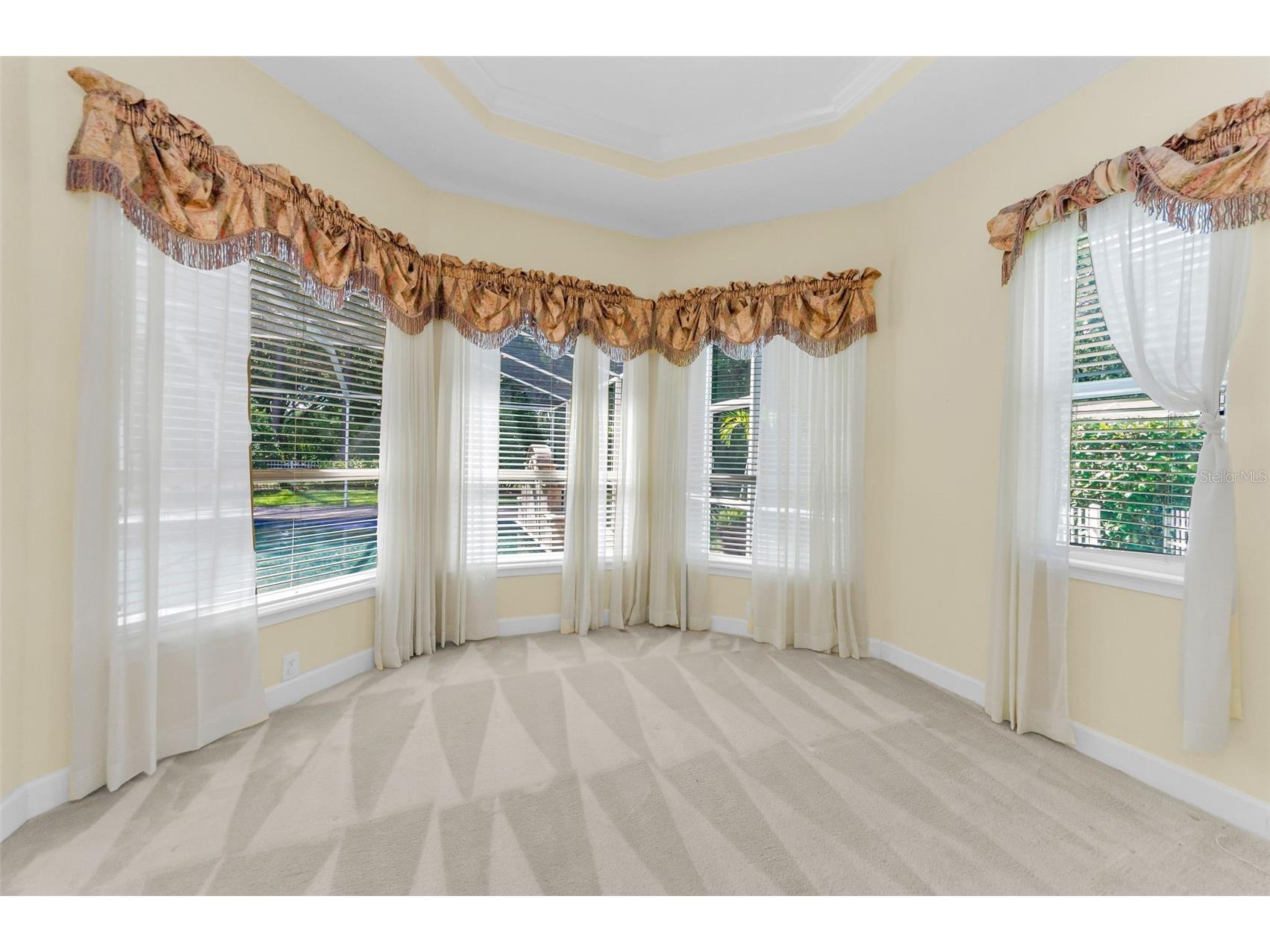 3972 Mimosa Place Palm Harbor FL 34685 TB8478543 image40