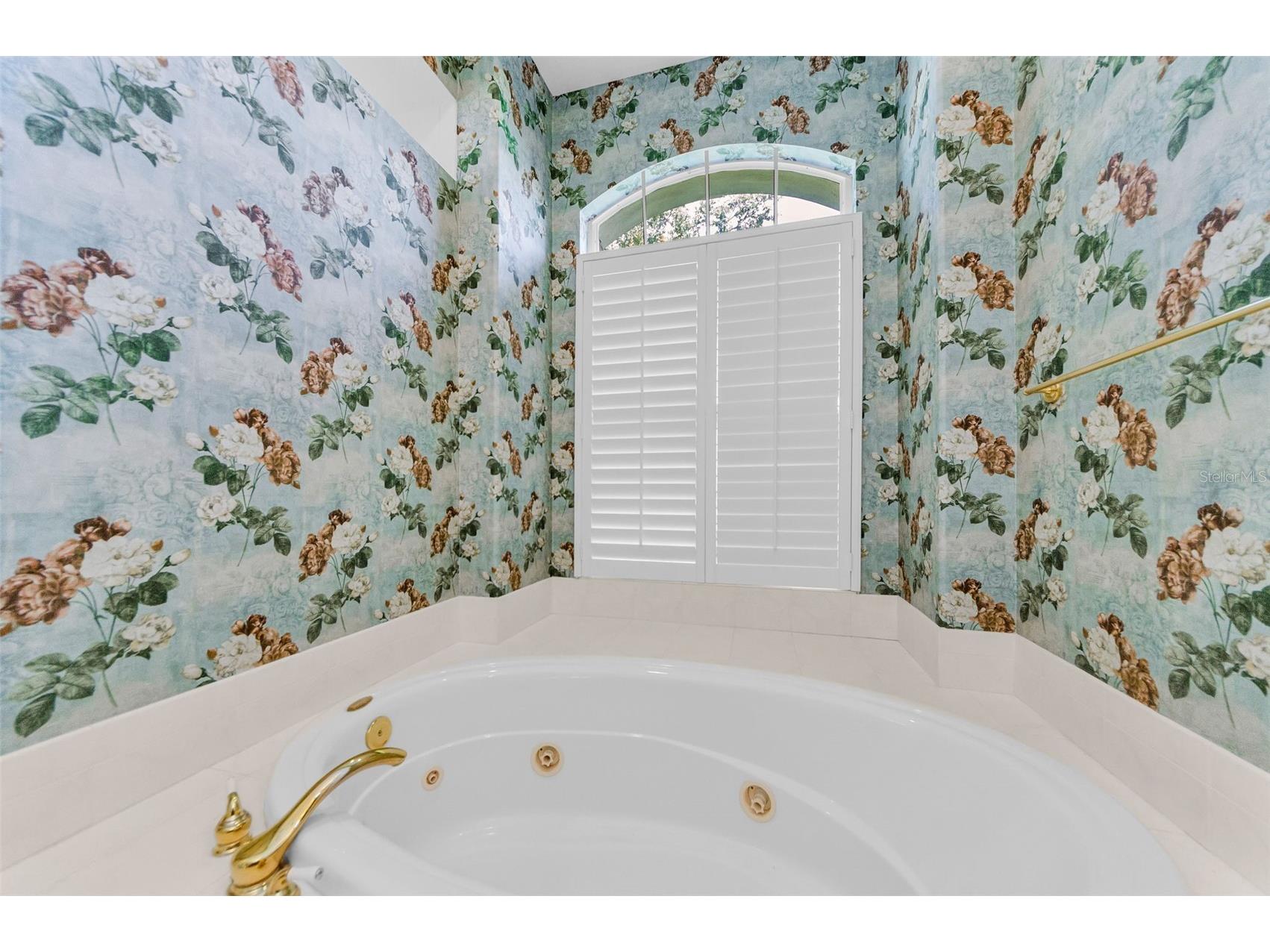 3972 Mimosa Place Palm Harbor FL 34685 TB8478543 image44