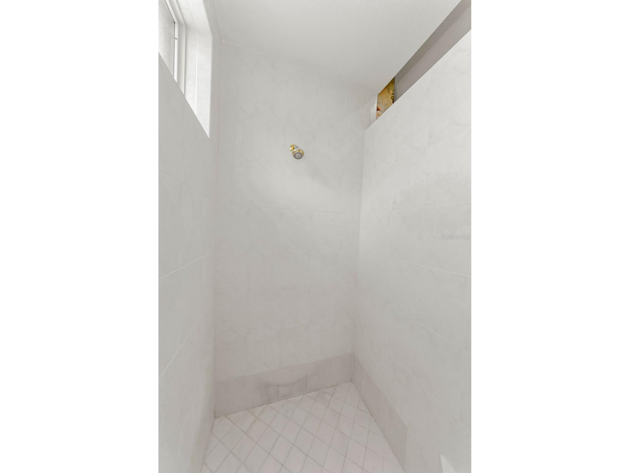 3972 Mimosa Place Palm Harbor FL 34685 TB8478543 image45