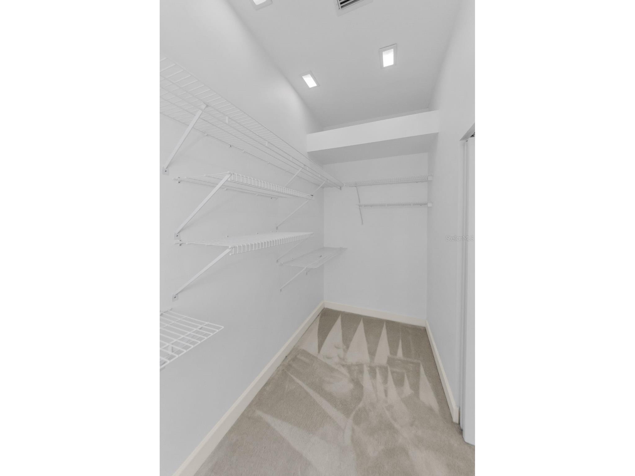 3972 Mimosa Place Palm Harbor FL 34685 TB8478543 image46