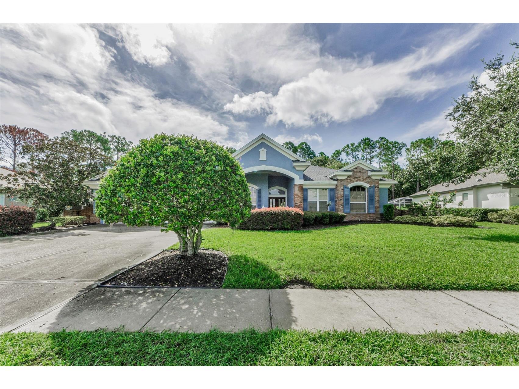 3972 Mimosa Place Palm Harbor FL 34685 TB8478543 image5