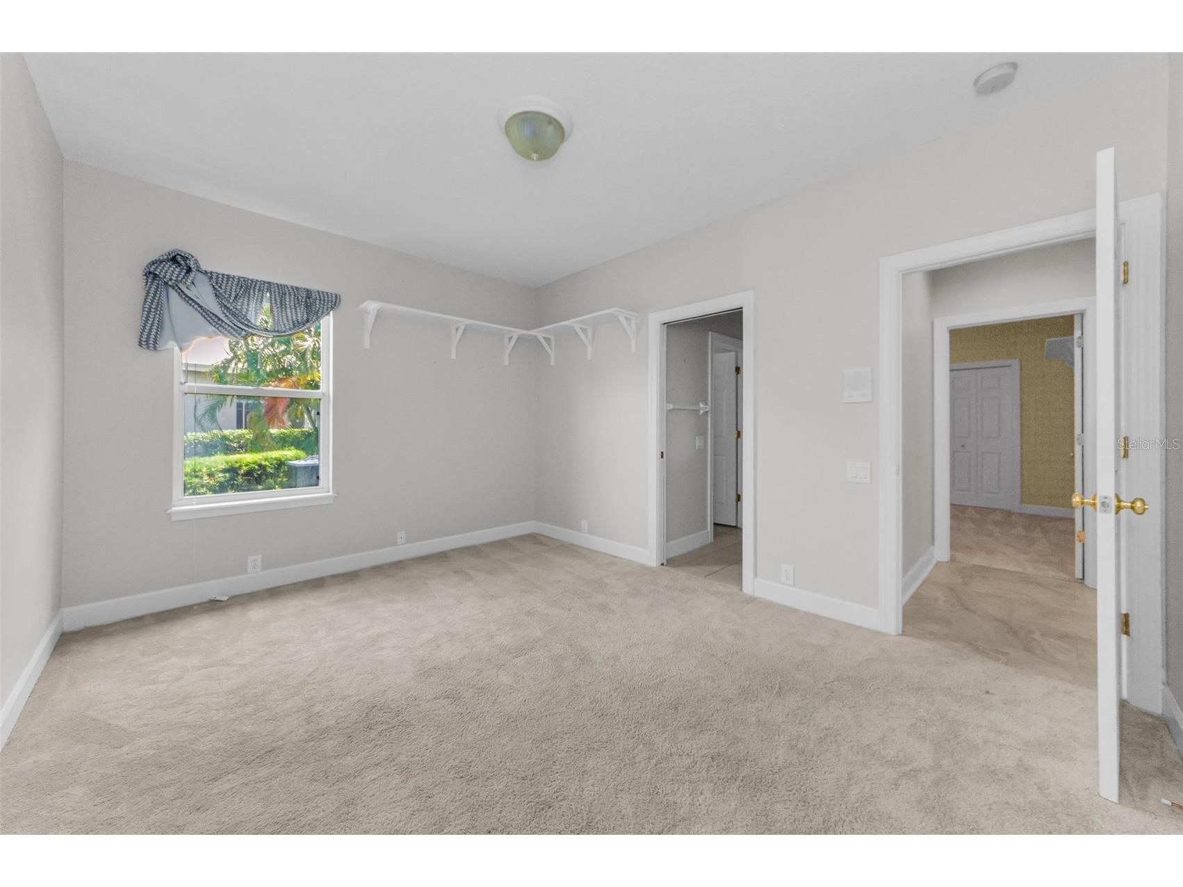 3972 Mimosa Place Palm Harbor FL 34685 TB8478543 image50