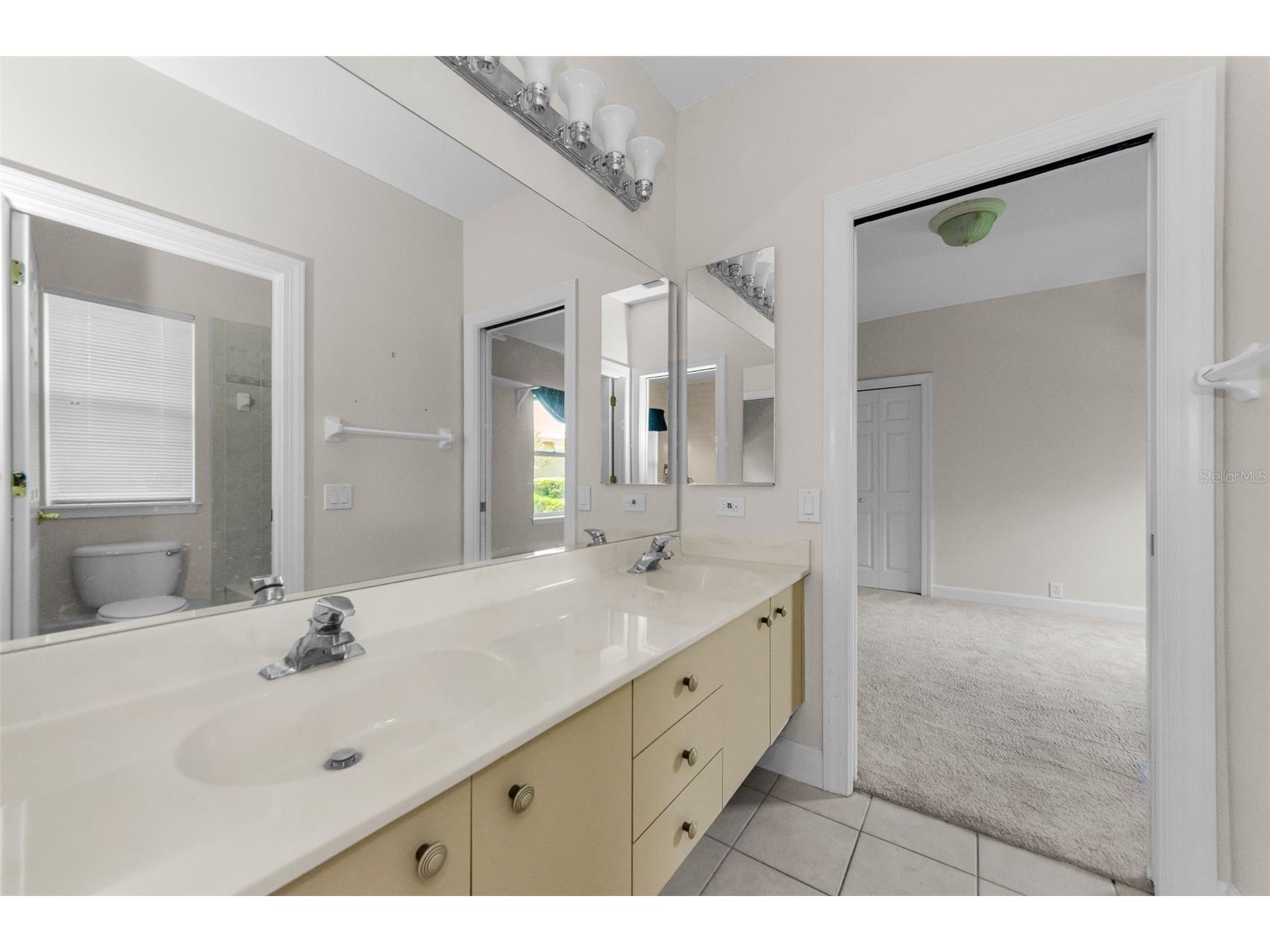 3972 Mimosa Place Palm Harbor FL 34685 TB8478543 image52