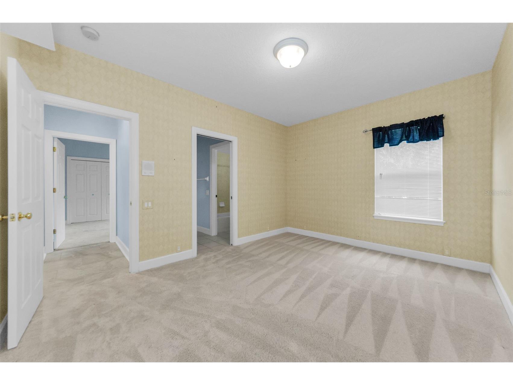 3972 Mimosa Place Palm Harbor FL 34685 TB8478543 image53