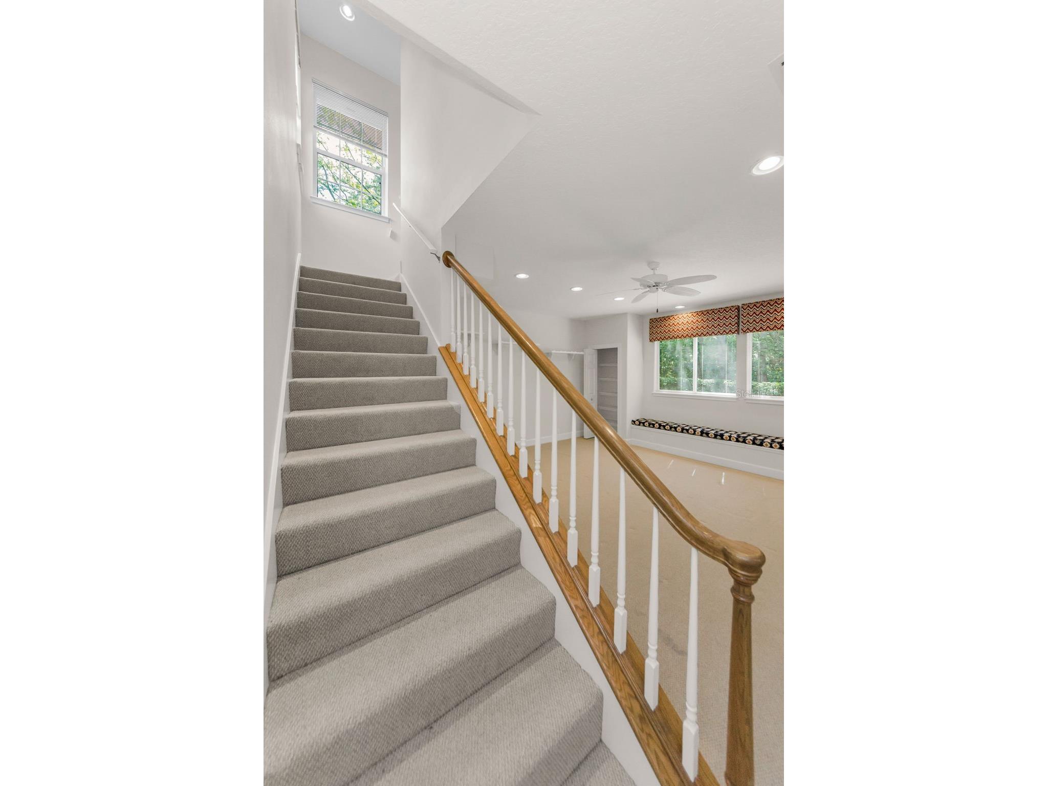 3972 Mimosa Place Palm Harbor FL 34685 TB8478543 image63