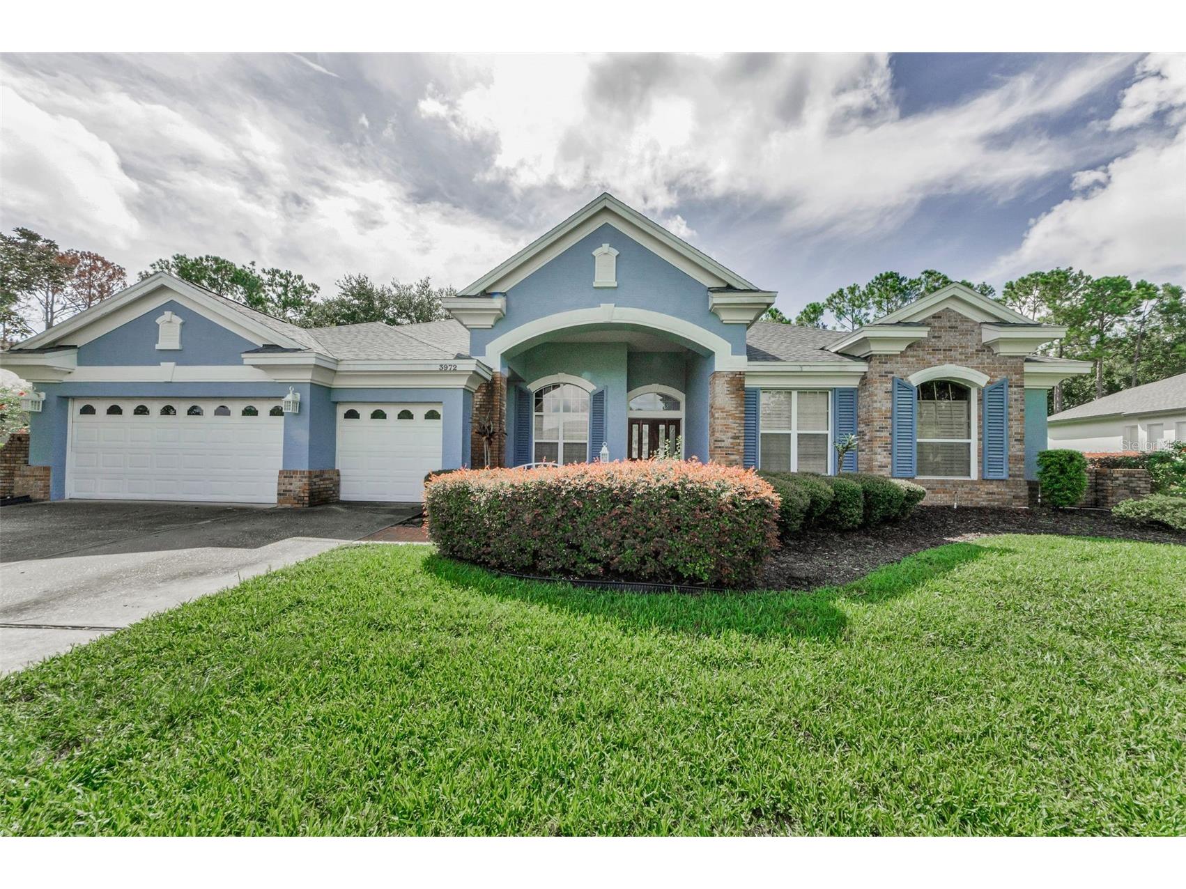 3972 Mimosa Place Palm Harbor FL 34685 TB8478543 image7