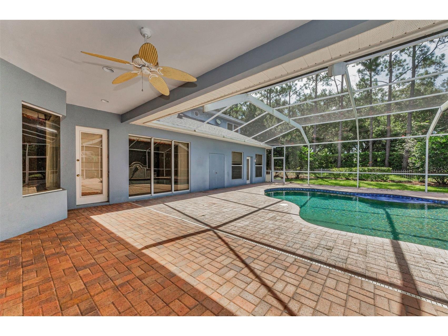 3972 Mimosa Place Palm Harbor FL 34685 TB8478543 image70