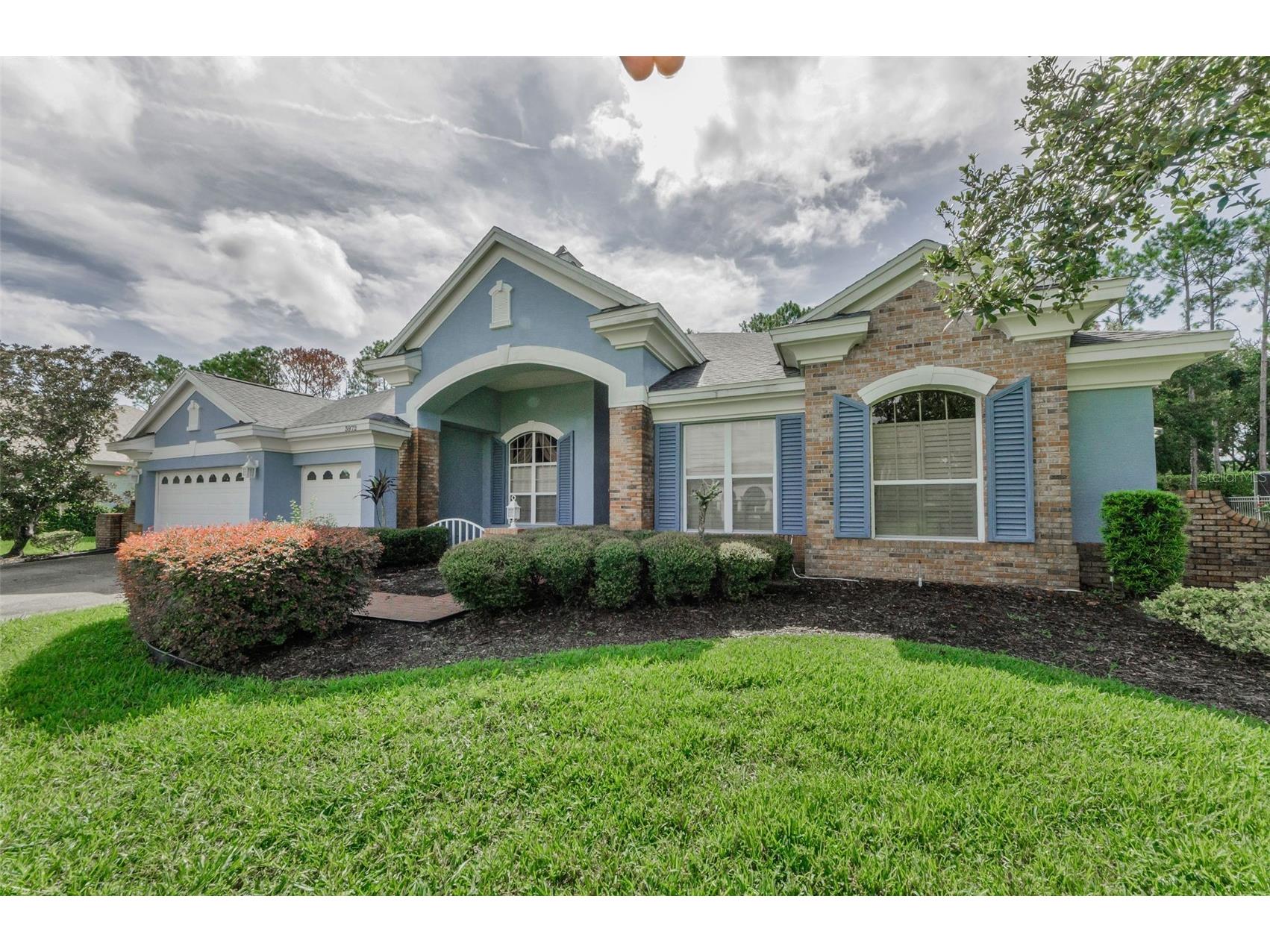 3972 Mimosa Place Palm Harbor FL 34685 TB8478543 image8