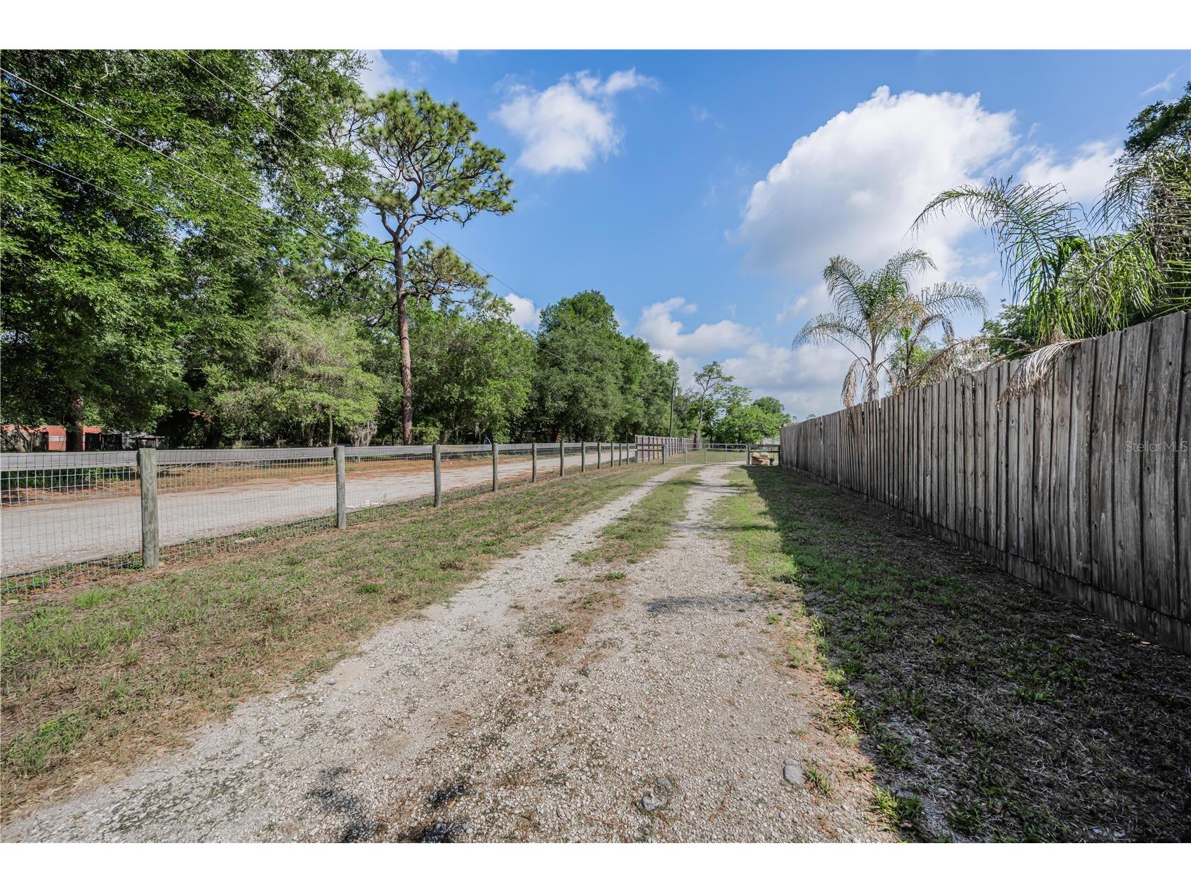 39723 Pretty Pond Road Zephyrhills FL 33540 TB8509984 image48