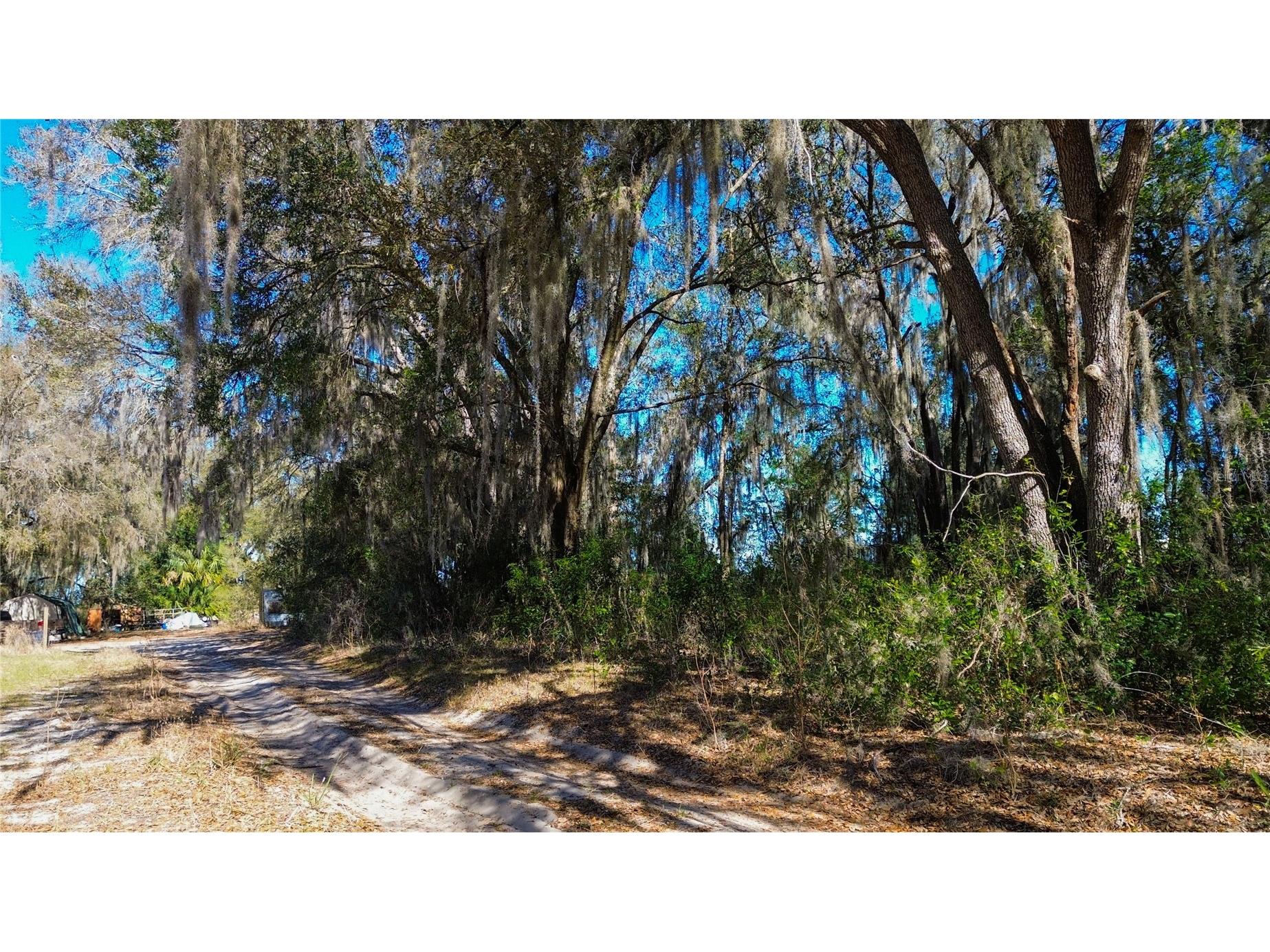 39725 Clay Avenue N Lady Lake FL 32159 OM719027 image1