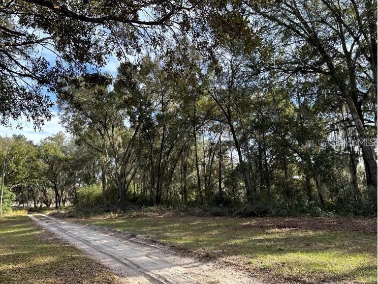 39725 Clay Avenue N Lady Lake FL 32159 OM719027 image23