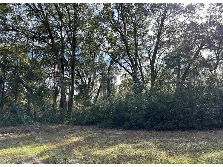 39725 Clay Avenue N Lady Lake FL 32159 OM719027 image24