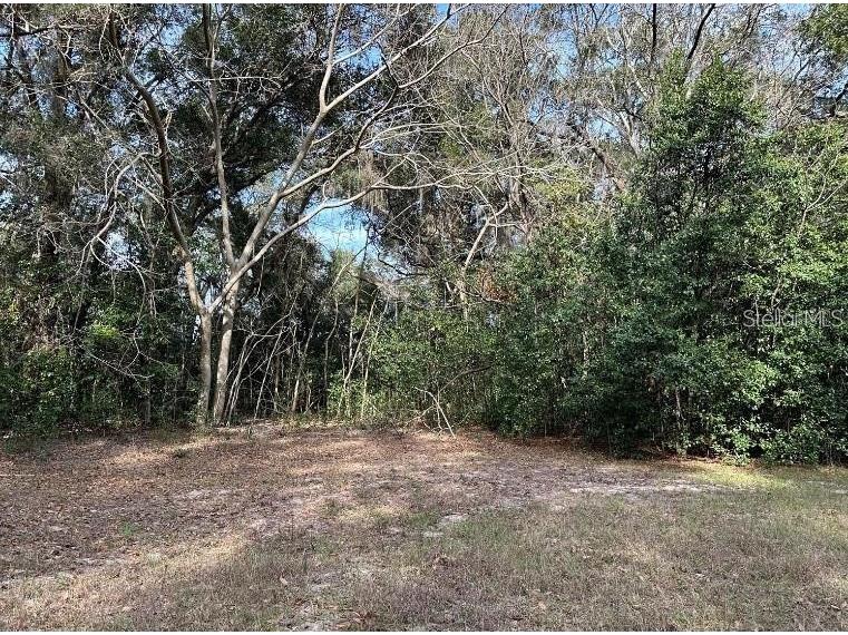 39725 Clay Avenue N Lady Lake FL 32159 OM719027 image25