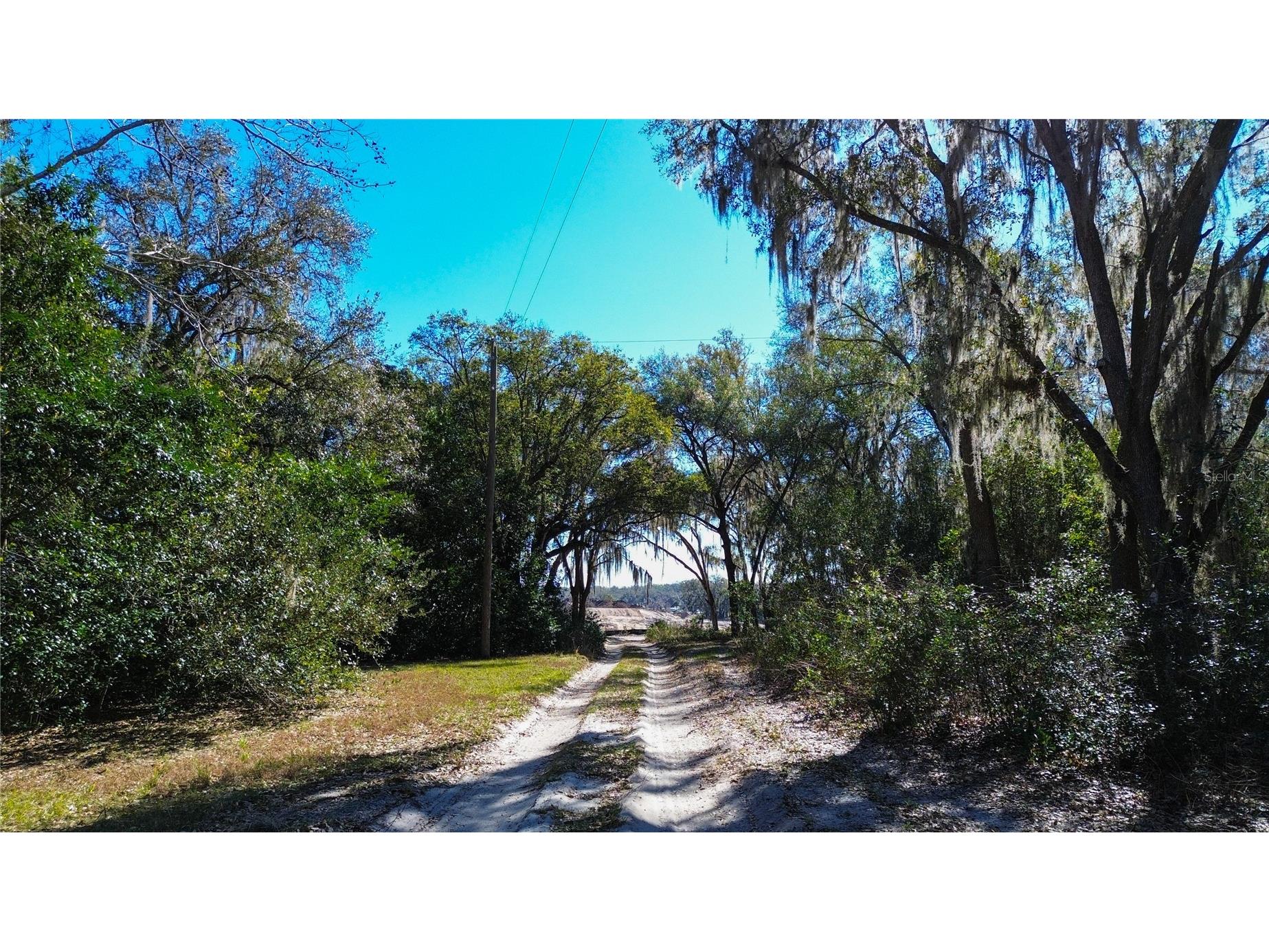 39725 Clay Avenue N Lady Lake FL 32159 OM719027 image3