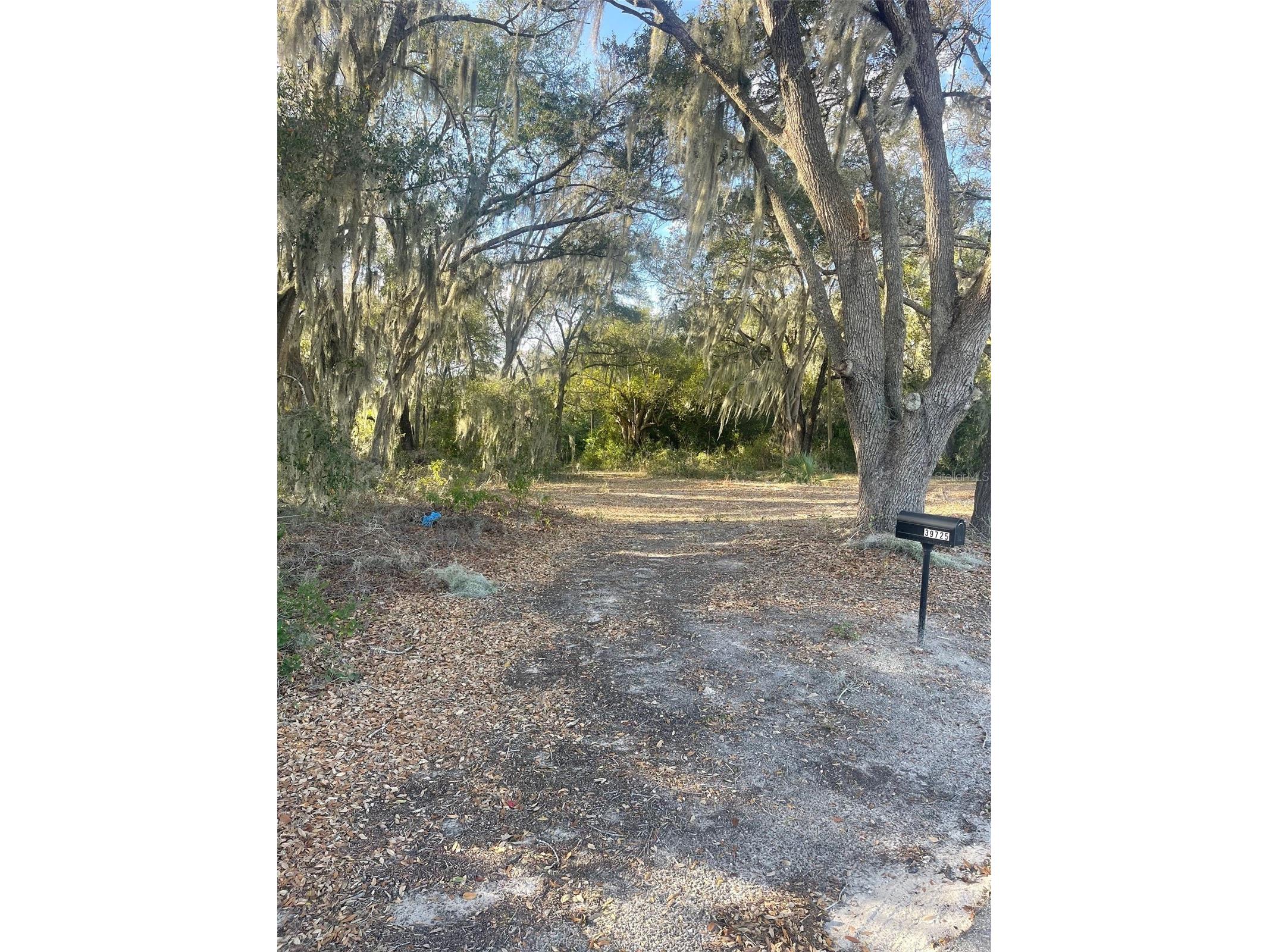 39725 Clay Avenue N Lady Lake FL 32159 OM719027 image30
