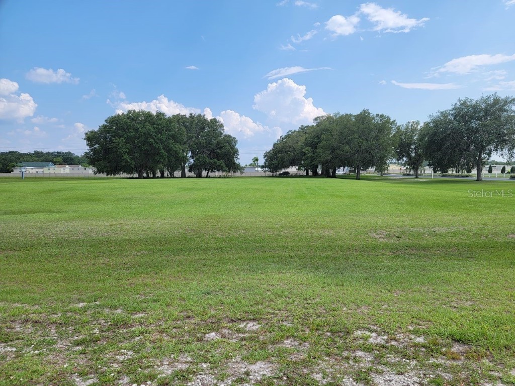 39735 Chancey Road Zephyrhills FL 33542 TB8347524 image5