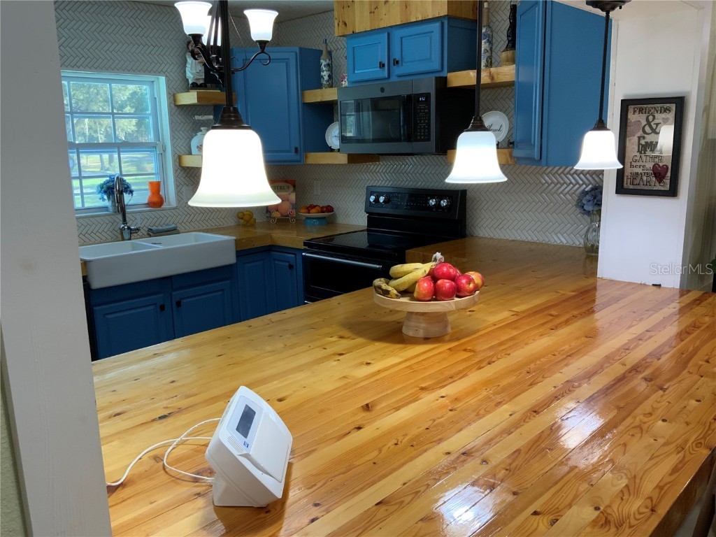 39742 Gella Way Lady Lake FL 32159 G5105282 image56