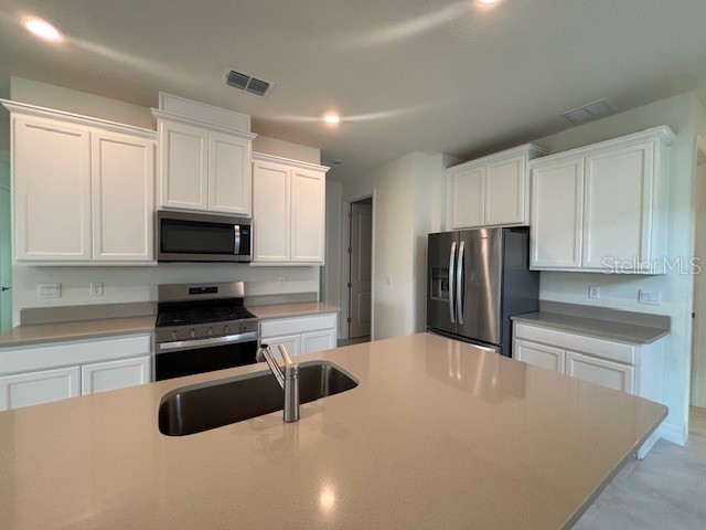 3975 Kennebunk Loop Mount Dora FL 32757 O6310369 image3