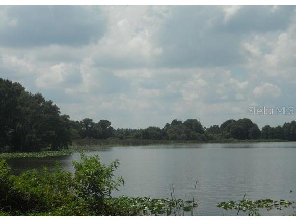 3975 Versailles Drive #3975F Orlando FL 32808 O6402415 image17