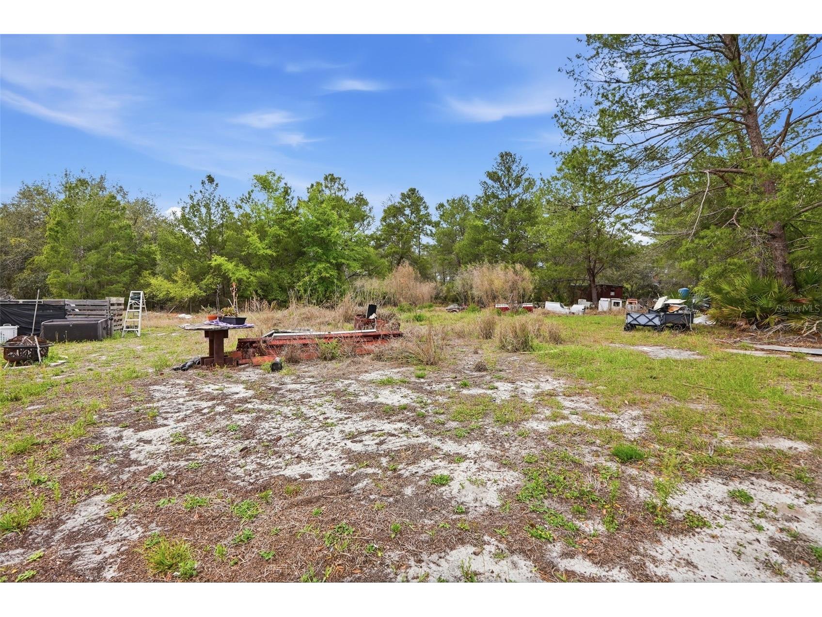 39751 Anchor Avenue Eustis FL 32736 OM721686 image12