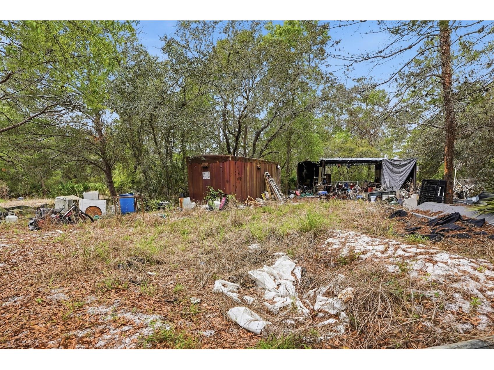 39751 Anchor Avenue Eustis FL 32736 OM721686 image13