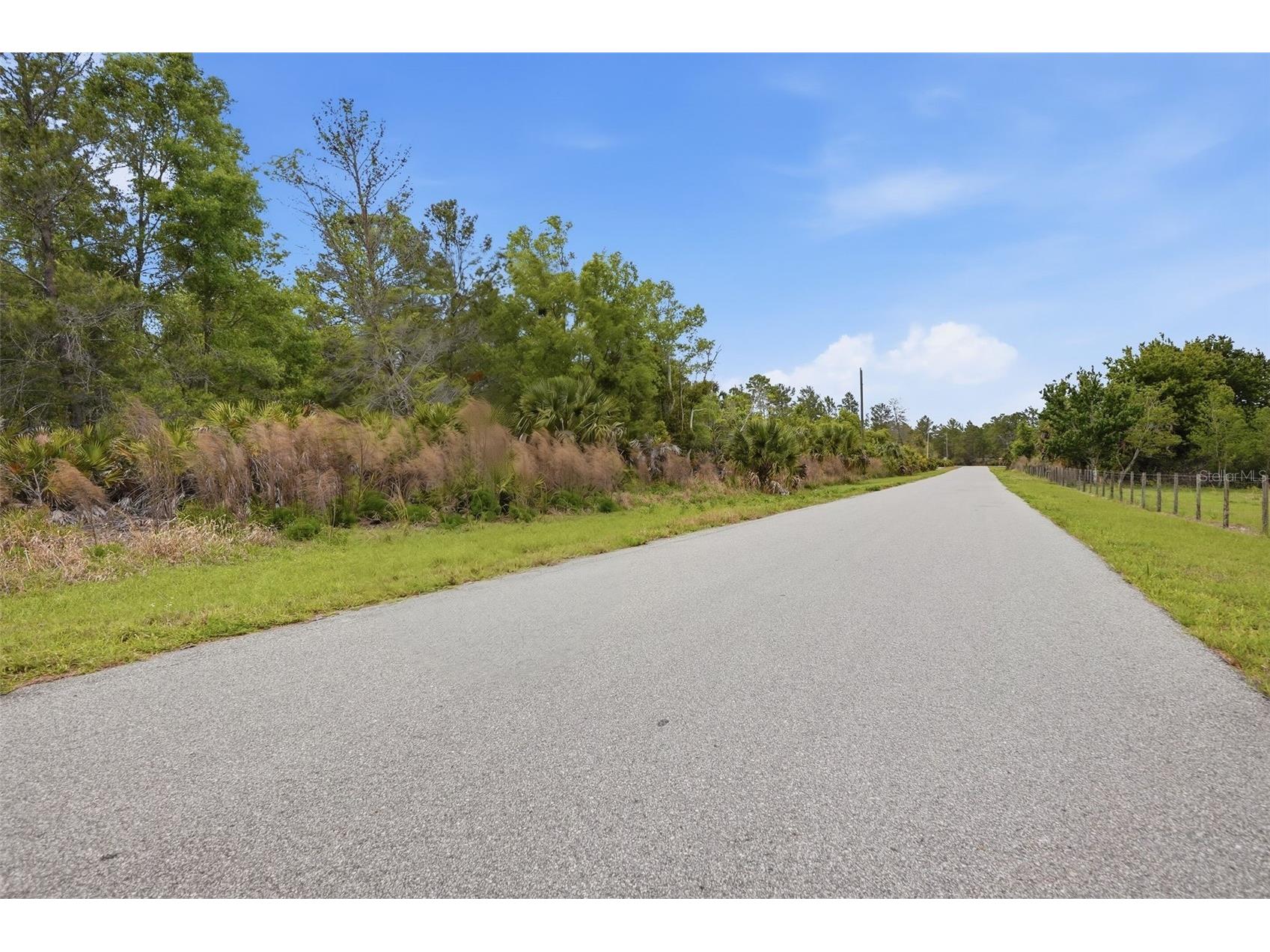 39751 Anchor Avenue Eustis FL 32736 OM721686 image14