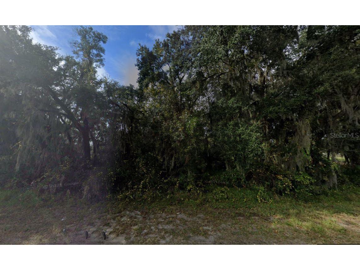 39771 County Road 452 Leesburg FL 34788 A4687512 image2