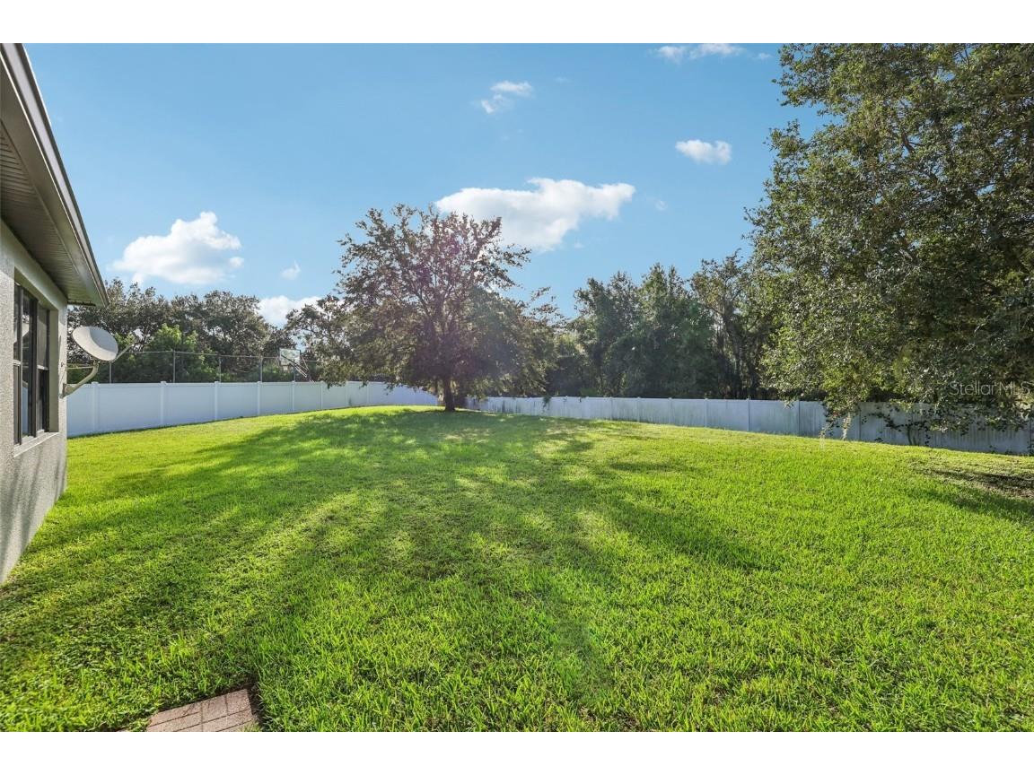 3978 Blossom Dew Drive Kissimmee FL 34746 O6350333 image59