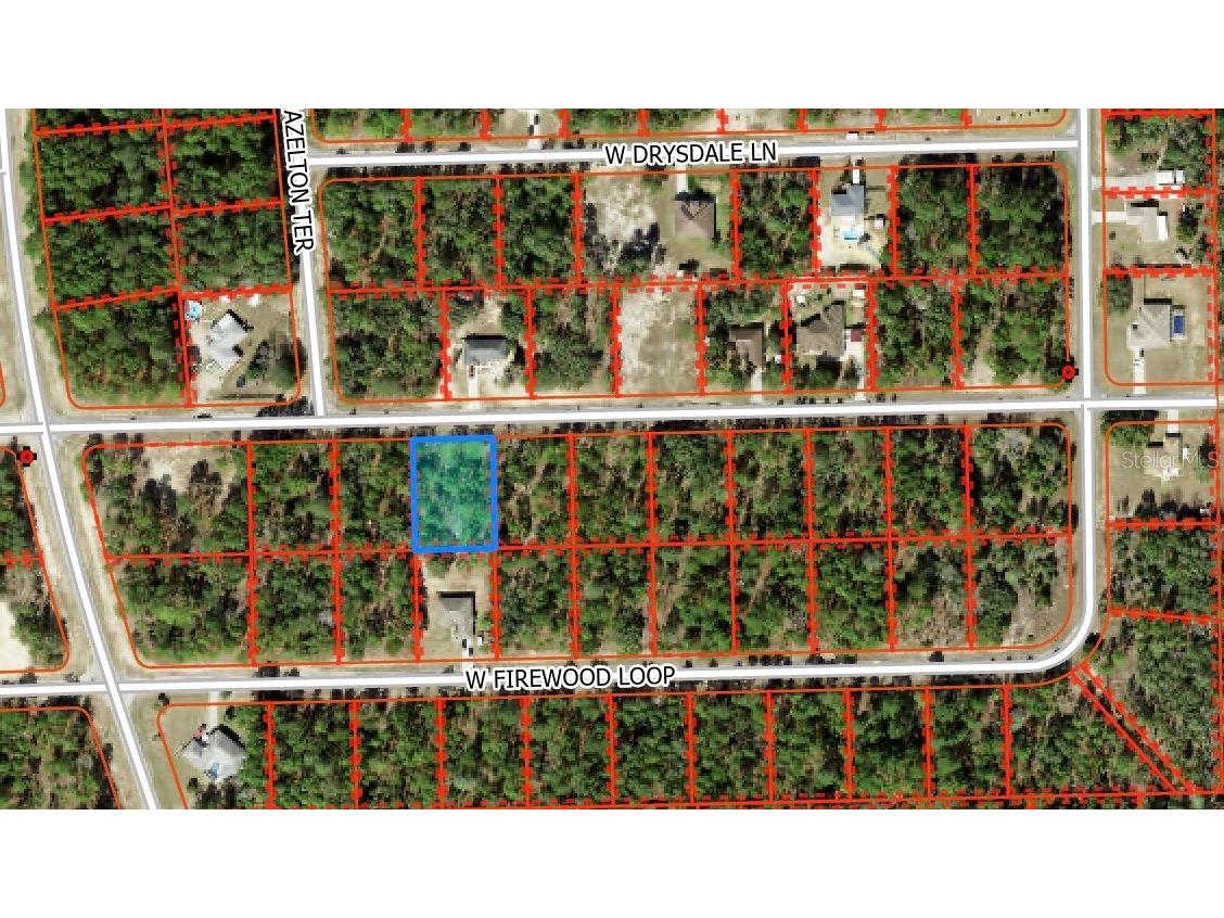 3978 W Fireside Lane Citrus Springs FL 34433 W7870475 image2