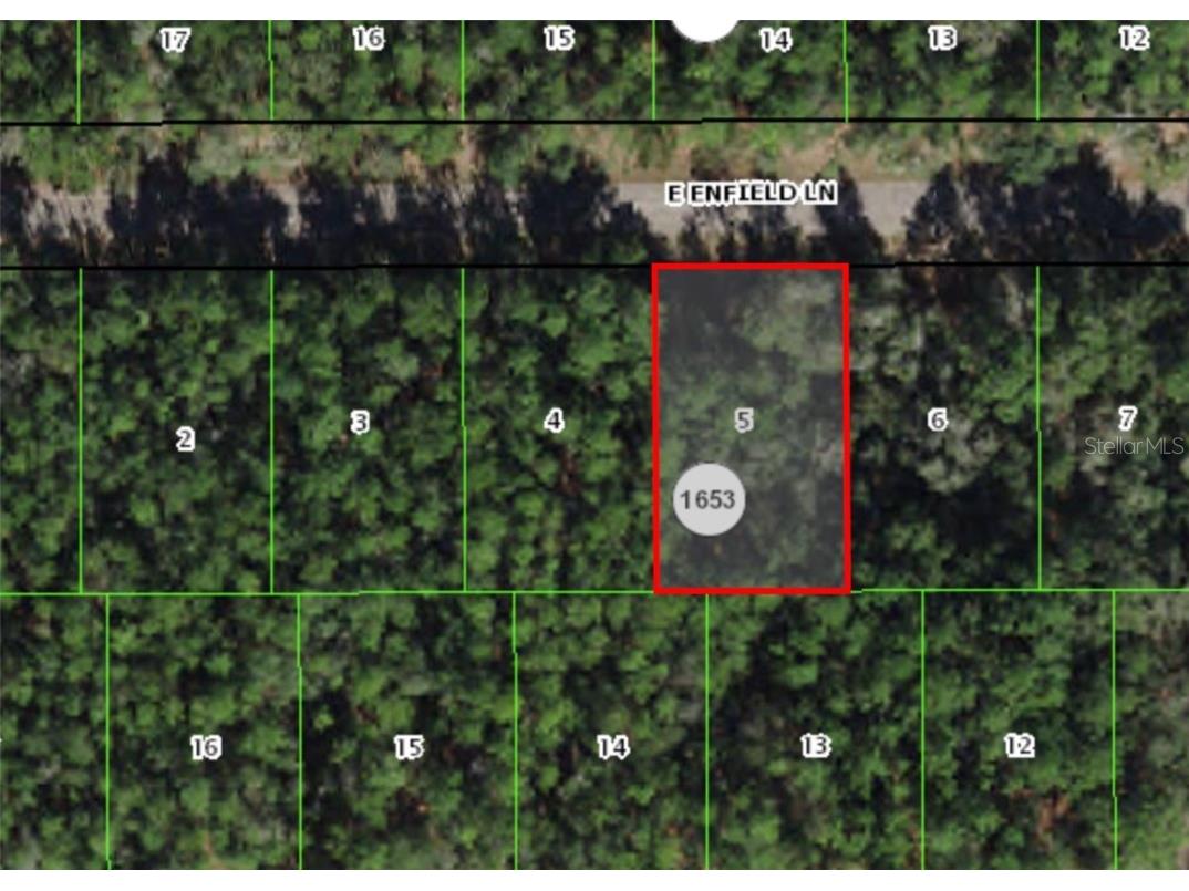 398 E Enfield Lane Citrus Springs FL 34433 OM658444 image1