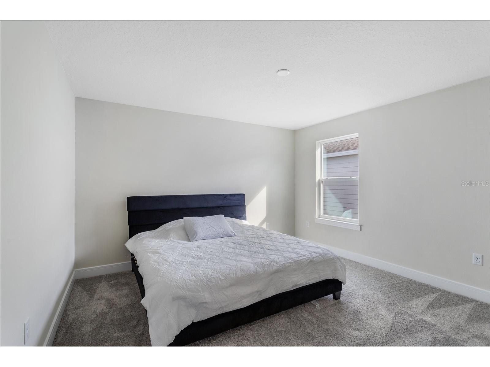 3980 Meandering Bay Drive Apopka FL 32712 O6413283 image29