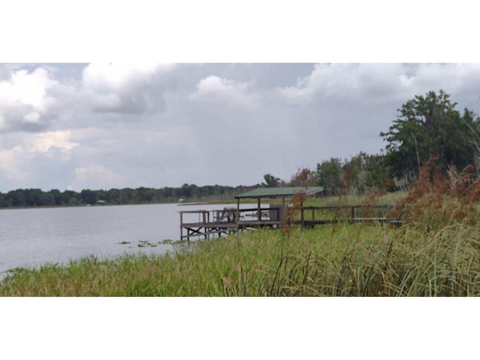 3980 SE 183rd Avenue Road Ocklawaha FL 32179 - LAKE BRYANT OM683395 image1