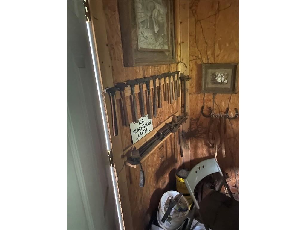 3980 SE 183rd Avenue Road Ocklawaha FL 32179 - LAKE BRYANT OM683395 image14