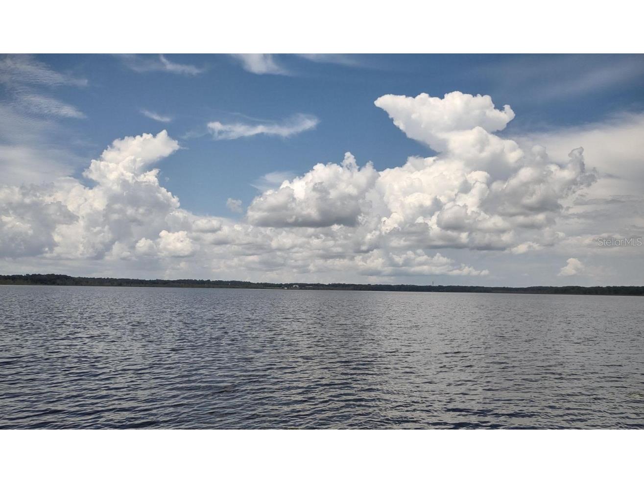 3980 SE 183rd Avenue Road Ocklawaha FL 32179 - LAKE BRYANT OM683395 image2