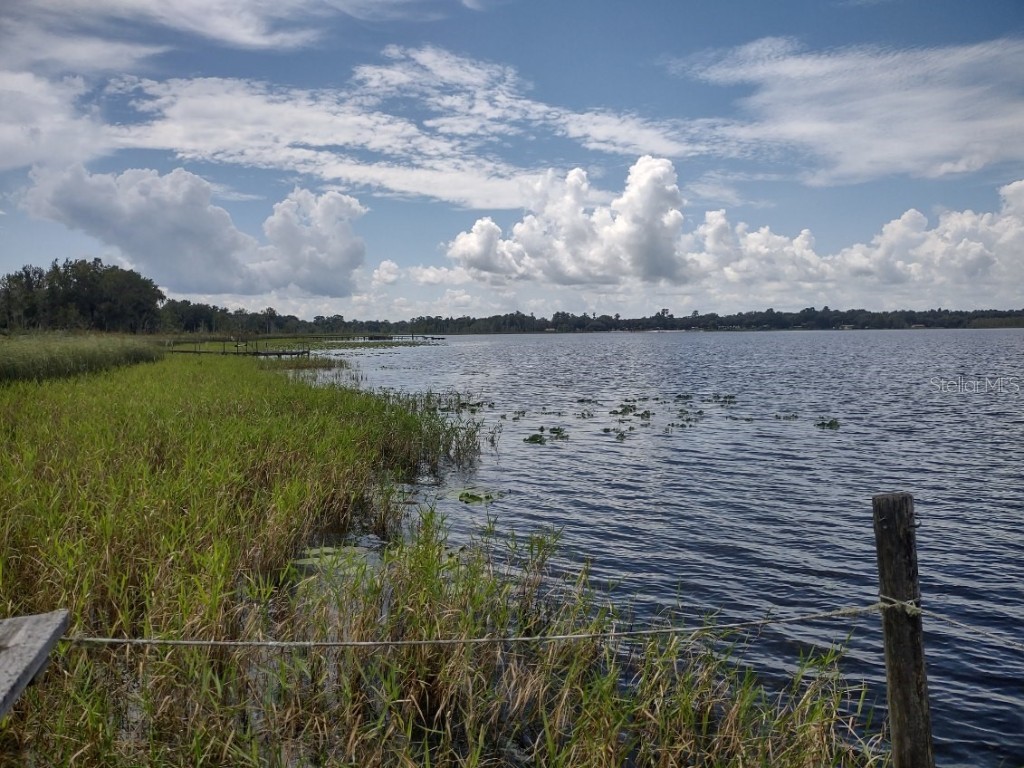 3980 SE 183rd Avenue Road Ocklawaha FL 32179 - LAKE BRYANT OM683395 image21