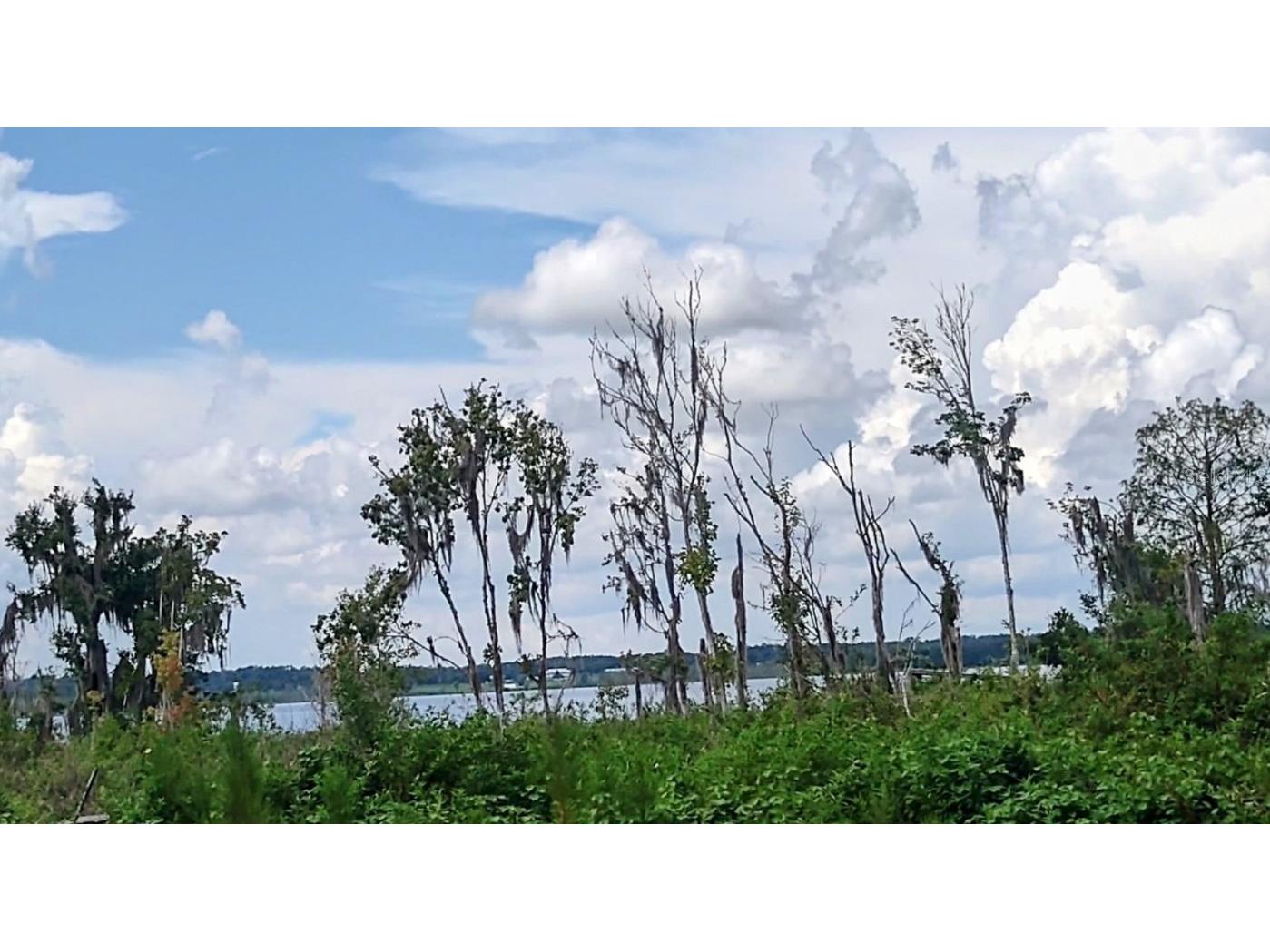 3980 SE 183rd Avenue Road Ocklawaha FL 32179 - LAKE BRYANT OM683395 image3