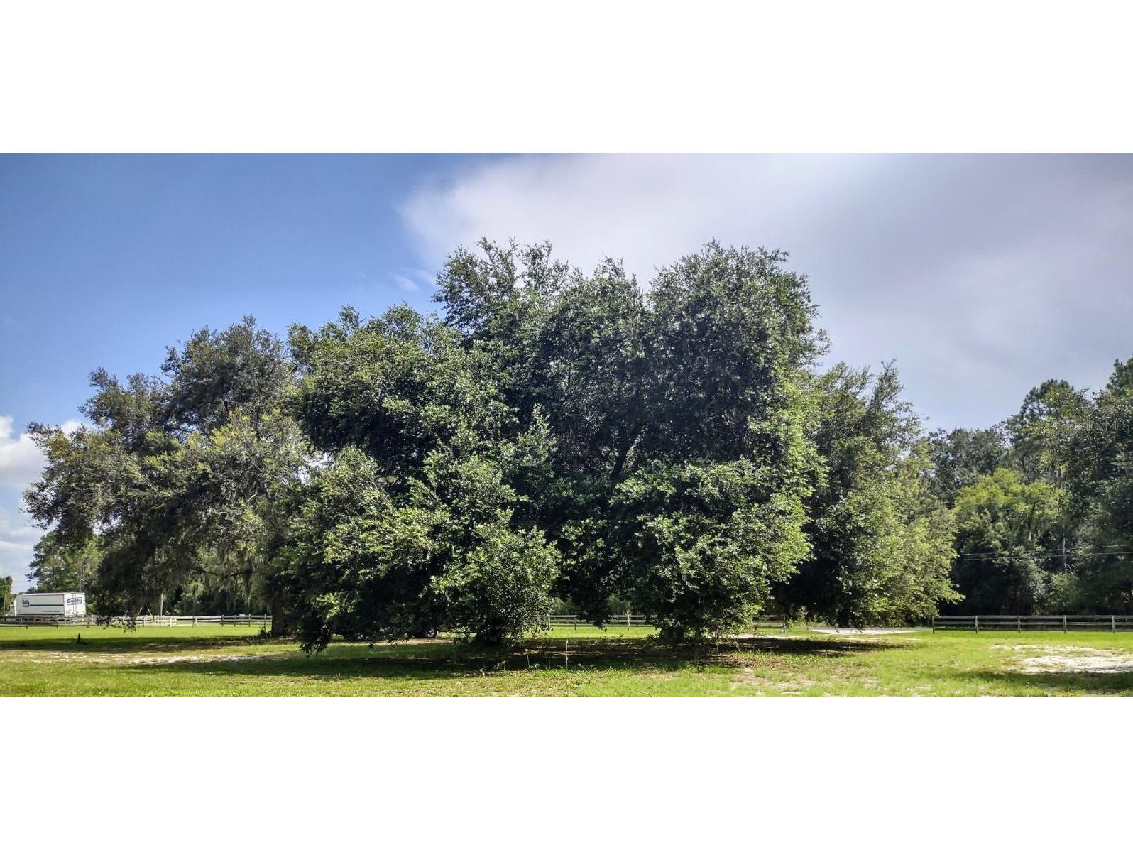 3980 SE 183rd Avenue Road Ocklawaha FL 32179 - LAKE BRYANT OM683395 image4