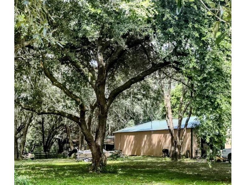 3980 SE 183rd Avenue Road Ocklawaha FL 32179 - LAKE BRYANT OM683395 image6