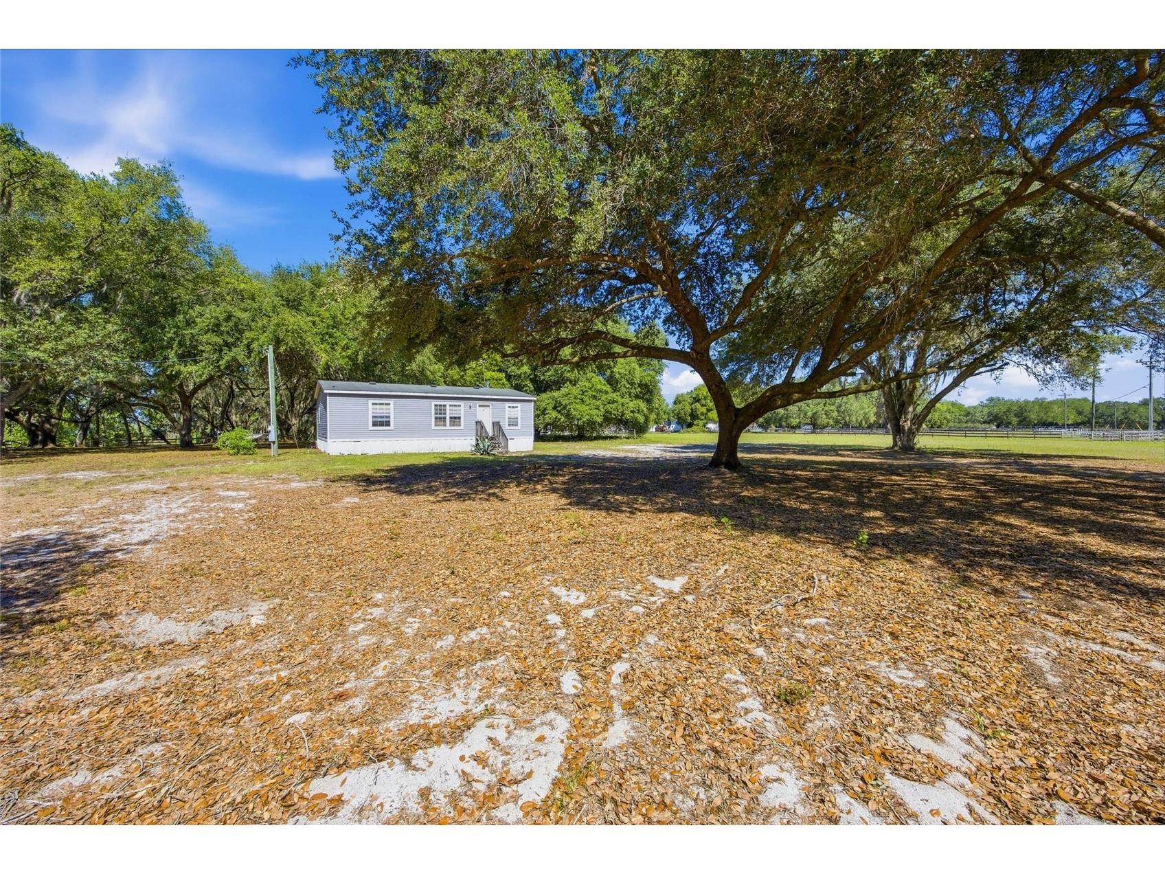 3980 SE 183rd Avenue Road Ocklawaha FL 32179 OM724398 image14