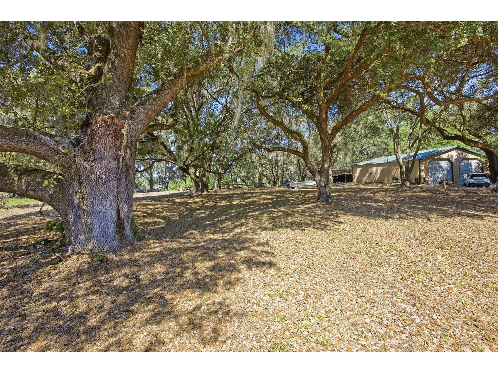 3980 SE 183rd Avenue Road Ocklawaha FL 32179 OM724398 image16
