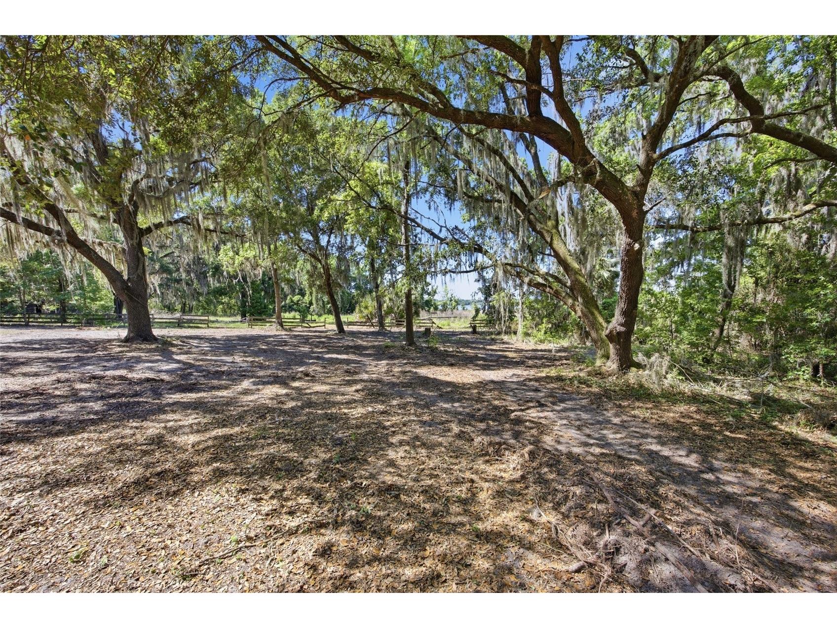 3980 SE 183rd Avenue Road Ocklawaha FL 32179 OM724398 image28