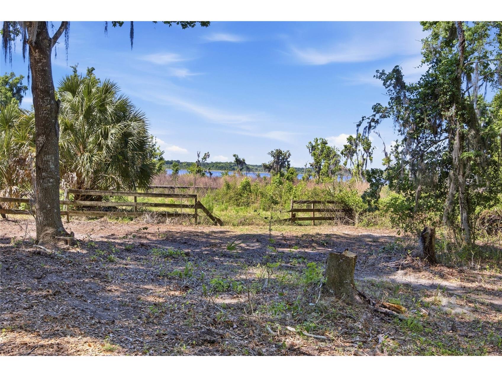 3980 SE 183rd Avenue Road Ocklawaha FL 32179 OM724398 image29