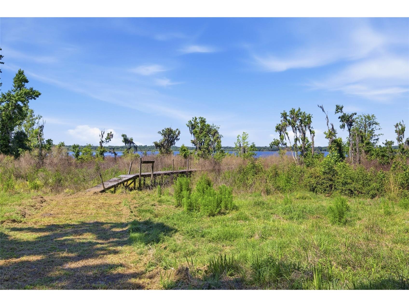 3980 SE 183rd Avenue Road Ocklawaha FL 32179 OM724398 image33