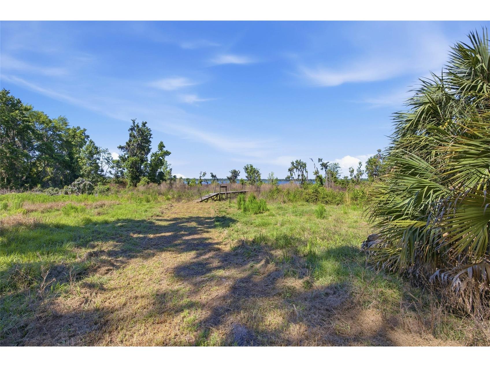 3980 SE 183rd Avenue Road Ocklawaha FL 32179 OM724398 image34
