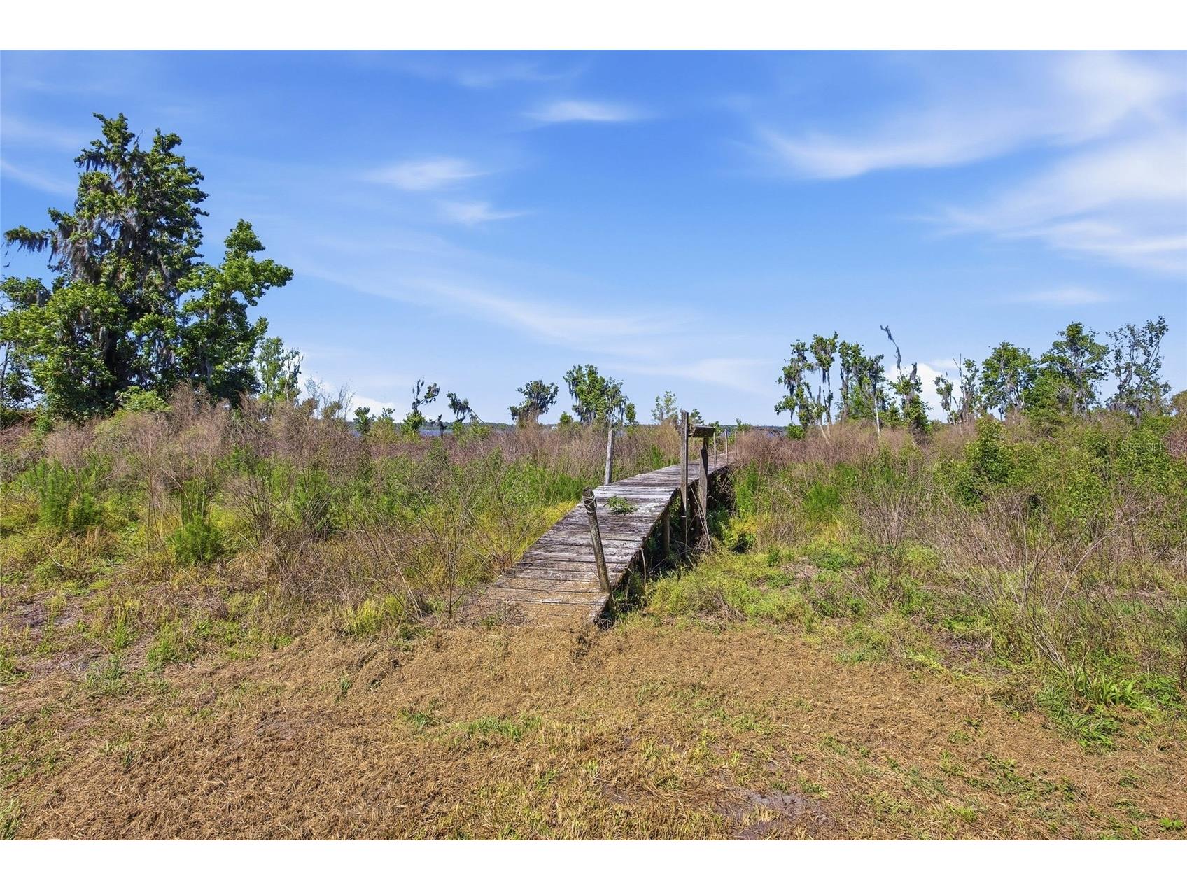 3980 SE 183rd Avenue Road Ocklawaha FL 32179 OM724398 image36